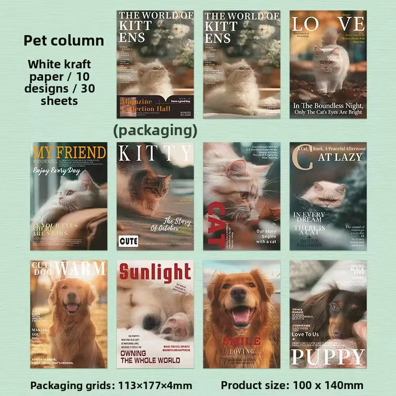 cat.webp
