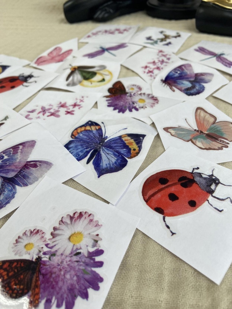 [5796] Butterflies Stickers Pack - ستيكرز الفراشات